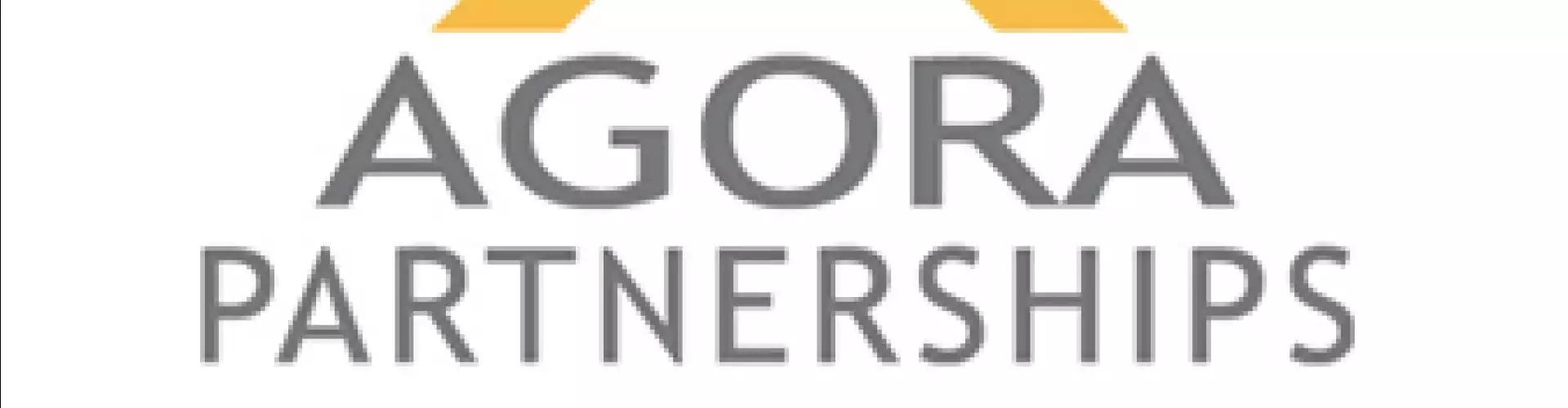 Impact Investing in Action - Online Class by Agora Partnerships 