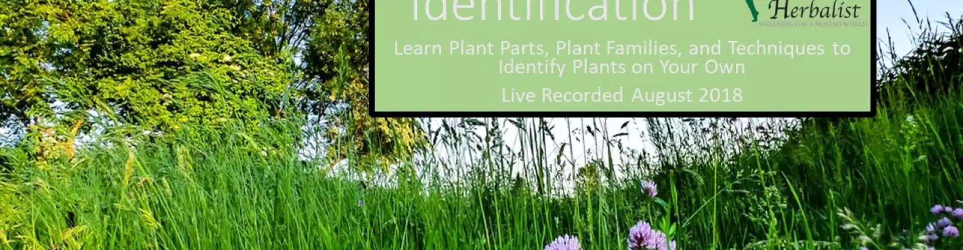 Plant Identification (HHSP) - Online Class by Jillian Carnrick