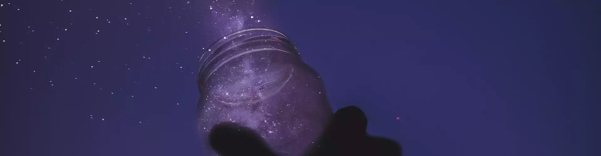 Bundle: All About Dreams with Jamie Butler - Online Course by Learn It Live