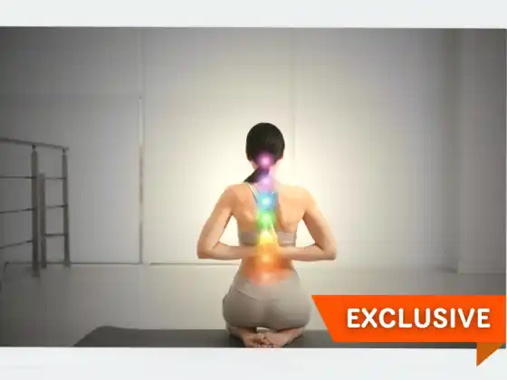 Chakra System Renewal and Energy Healing