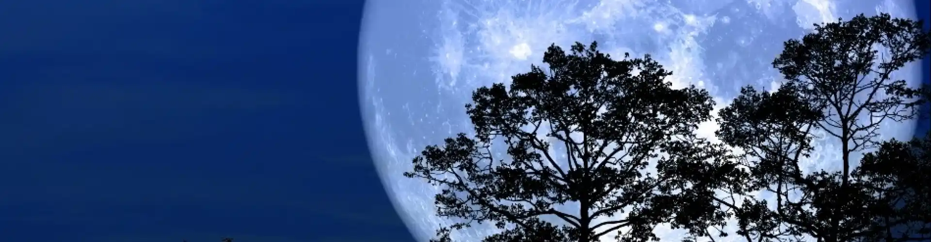 Meditazione sulla Luna Piena - Online Class by Cassaundra Paolini