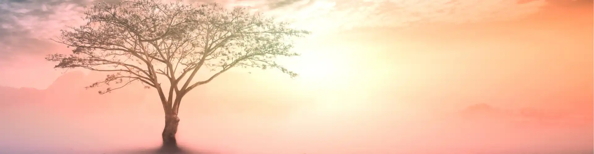 Bundle: Spring Into Soul: A Mind-Body-Spirit Symposium - Online Course by Learn It Live