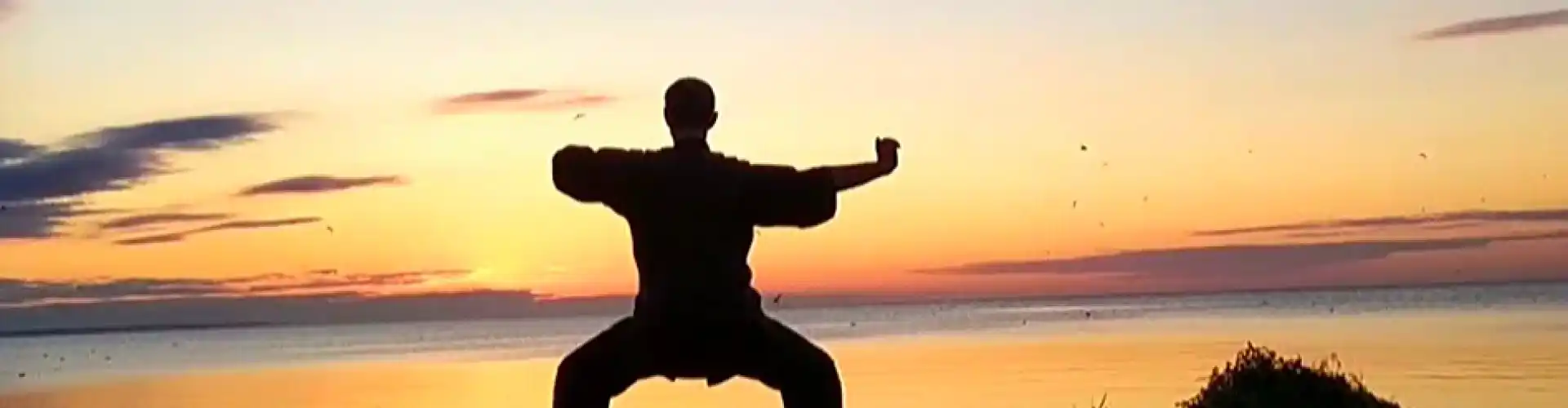 1 ora di Qigong con 8 broccati di seta - Online Class by Cassaundra Paolini