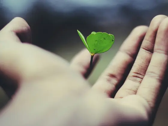 Webinar 6 sulla calibrazione della carriera per un successo allineato all'anima