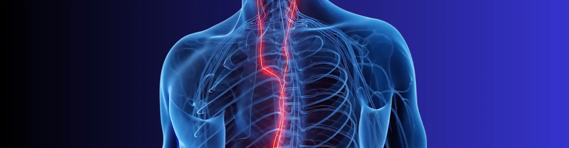 Nervous System Mastery - Online Class by Holly Blazina