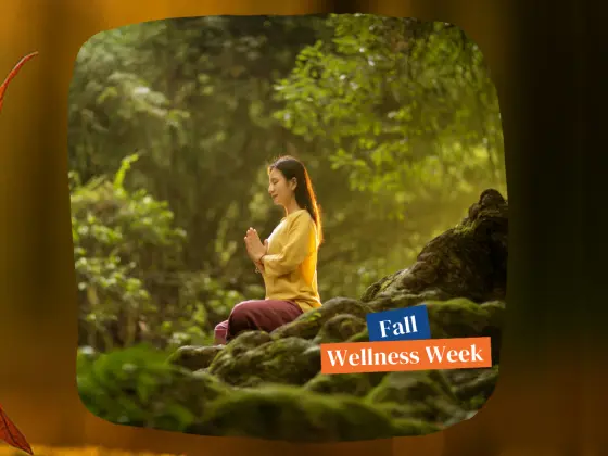 Autumn’s Embrace: A Fall Equinox Reiki Meditation